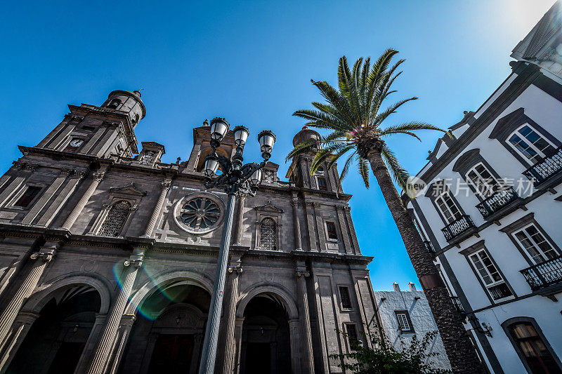 棕榈靠近圣安娜大教堂，Calle Obispo Codina, Las Palmas de Gran Canaria，西班牙